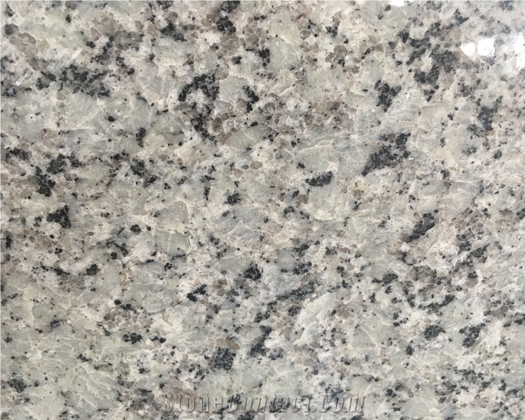 High Quality Bala White Granite Slab