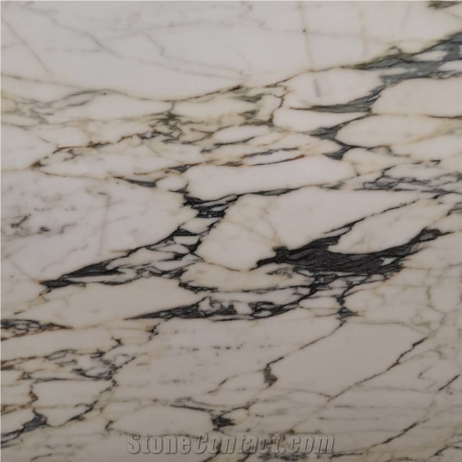 Hot Selling Natural Calcutta Gold Marble Tile