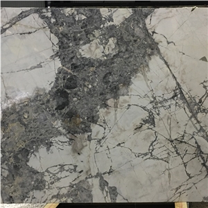 Italy Forest White Marble Slab