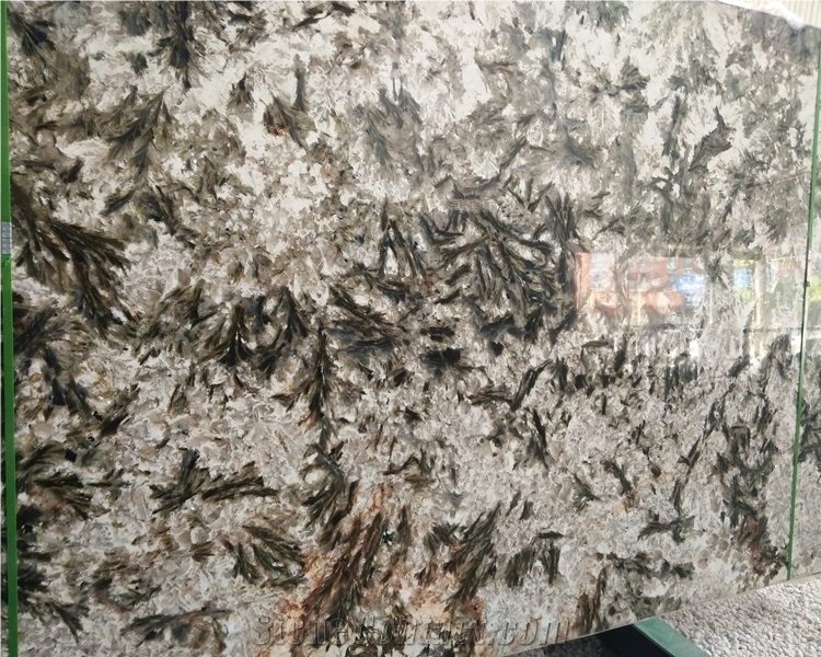 Luxury Natural Alpinus White Granite Slab Price