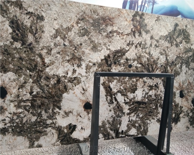 Luxury Natural Alpinus White Granite Slab Price