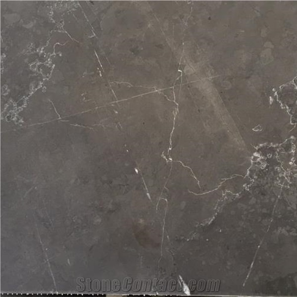 Natural Iran Pietra Gray Marble Slab