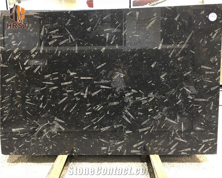 Natural Stone Fossil Black Marble