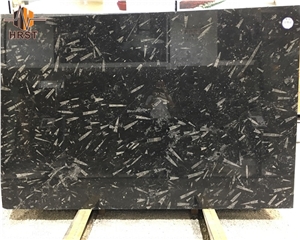 Natural Stone Fossil Black Marble