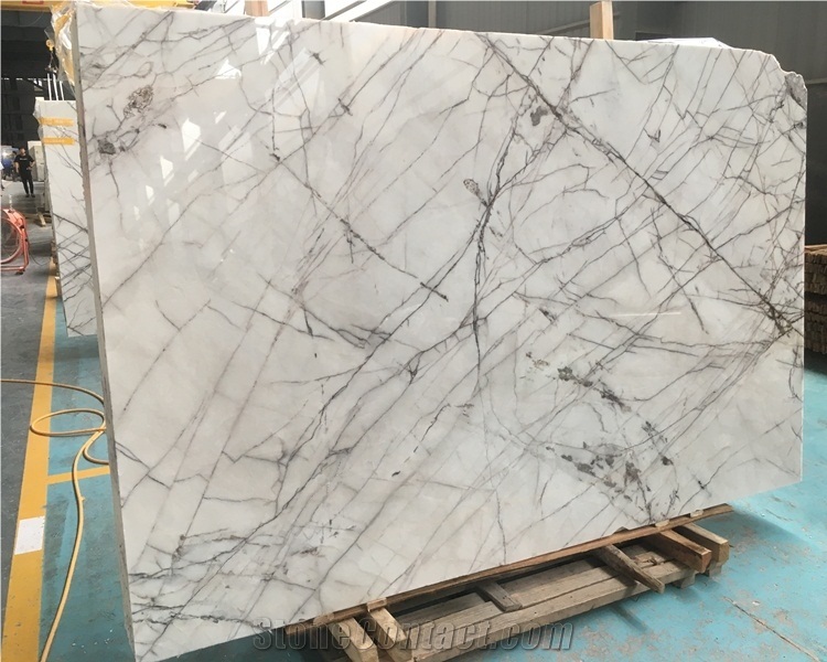 Natural Stone White Marble Slab with Black Veins