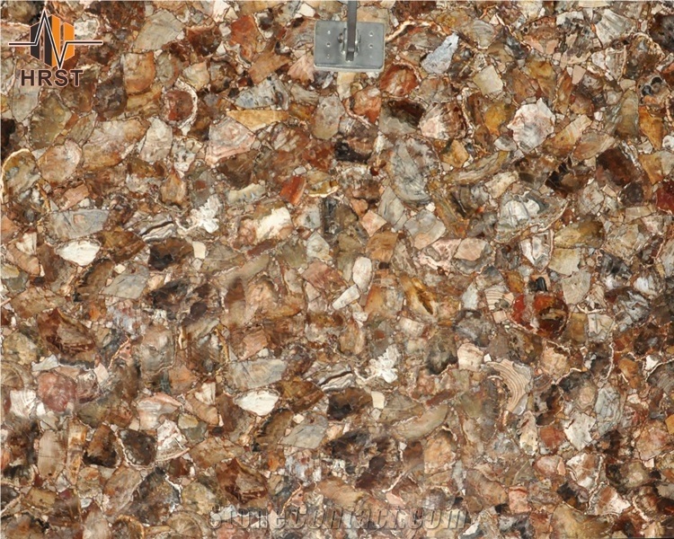 Semi Precious Stone Petrified Wood Slab