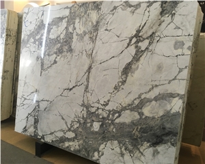 Snowy River White Marble with Black Veins Price