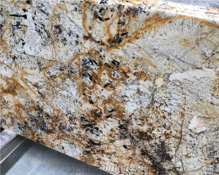Top Selling Delicatus Gold Granite Countertop