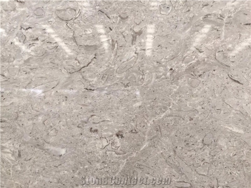Polished Light Desert Beige Marble Flooring Tiles