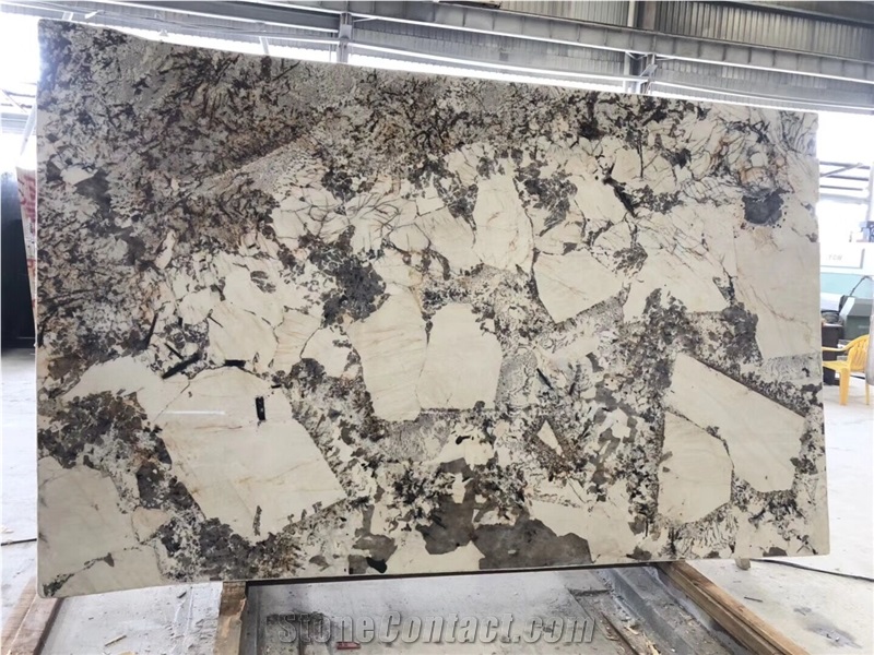 Polished Luxury White Granite Feature Wall Slab