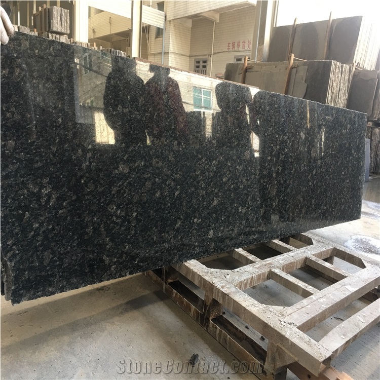 Polished Seeweed Green Slabs for Wall Cladding