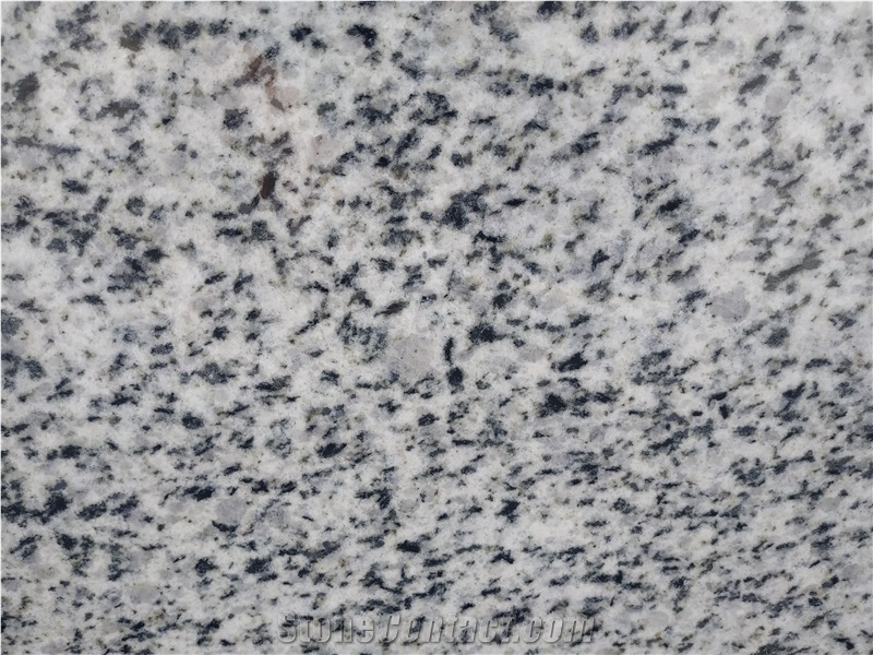 Bianco Halayeb Granite Blocks