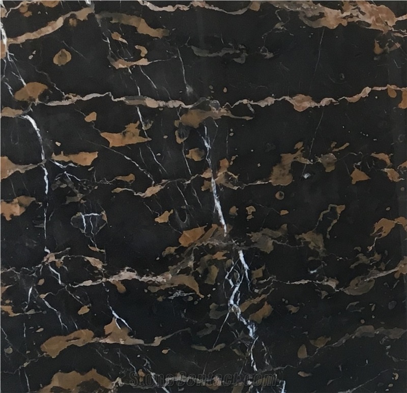 Afghan Nero Portoro Marble Slab Tile Price
