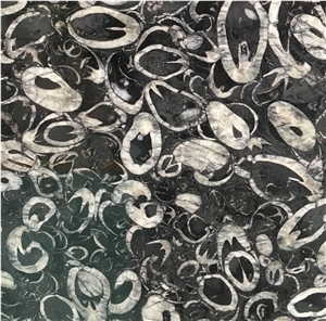 Whosale Black Fossil Marble Slab Tile Price
