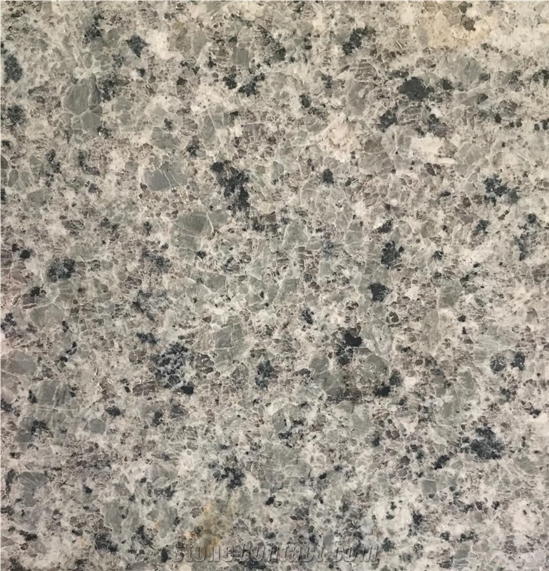 Lavender Grey Granite from Pakistan - StoneContact.com