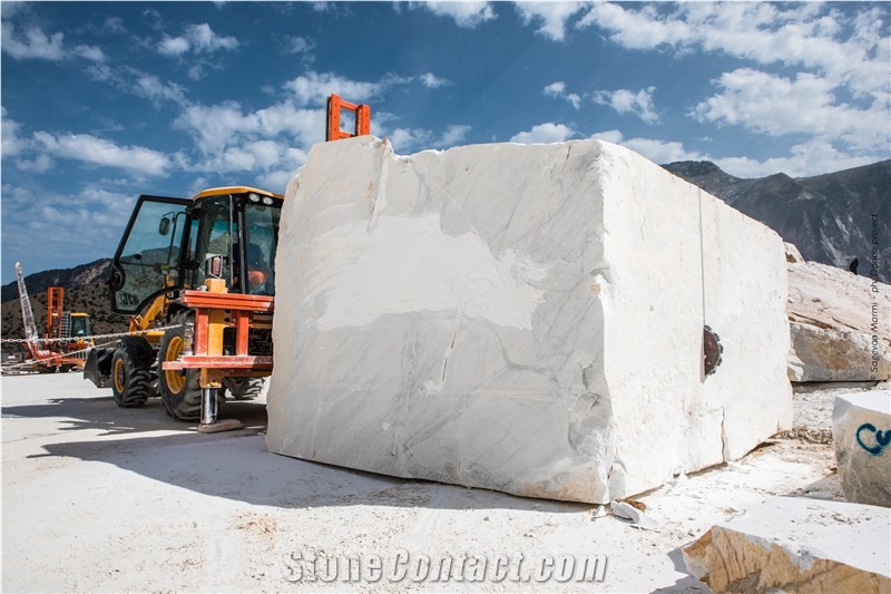 Statuarietto Marble,Commercial Veined Statuary Marble Blocks