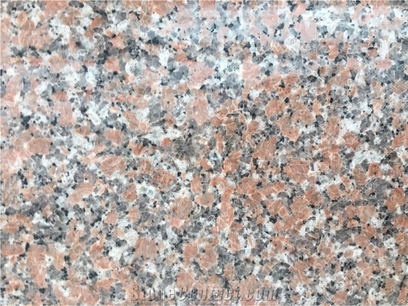 G562 Maple Red Granite Slab,Tile