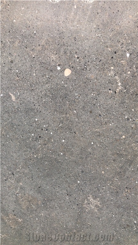 Grigio Argento Limestone,Grey Limestone
