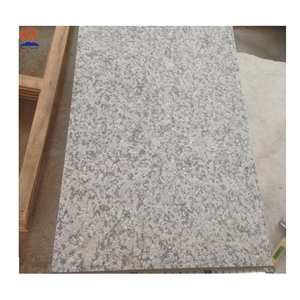 China Cheap Stone Steps China Light Grey Granite