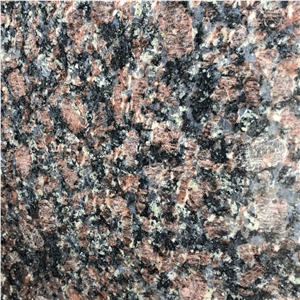 Indian Tan Brown Granite Slabs and Floor Tiles