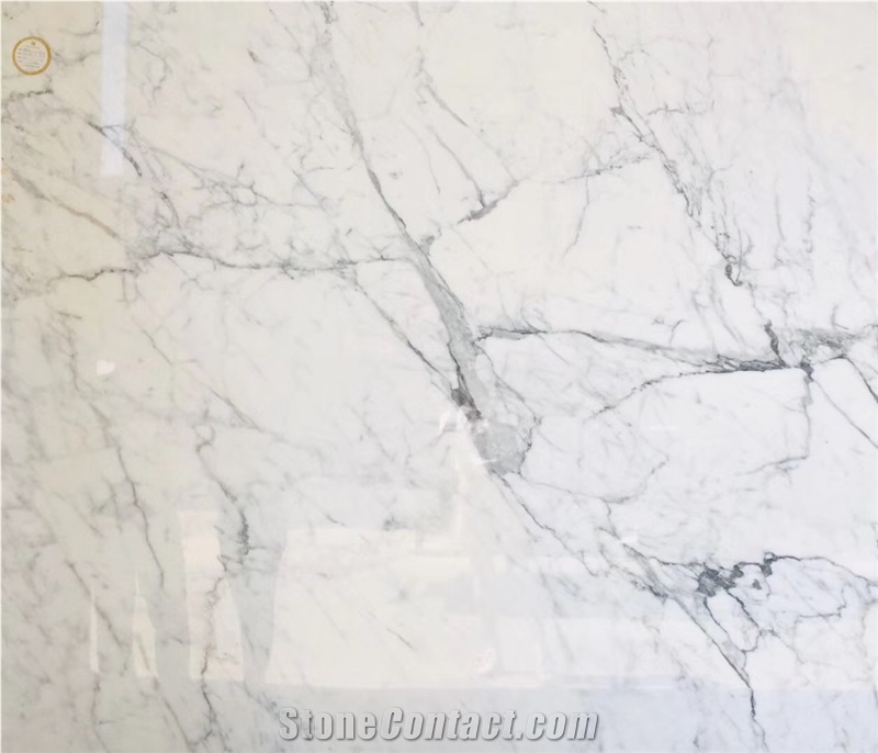 Bianco Statuario Venato Marble Slabs Floor Tiles