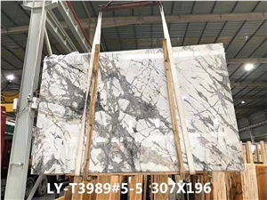 Brazil Invisible Grey Marble Slab in China Market