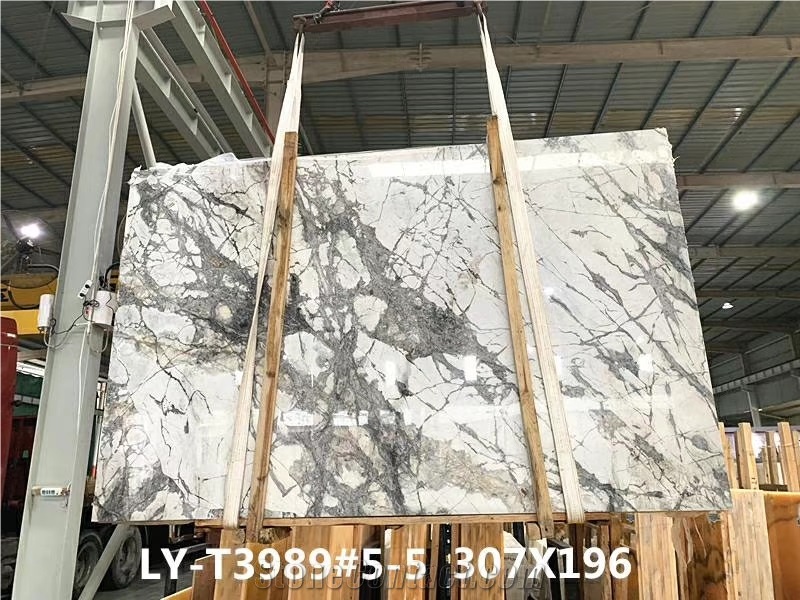 Brazil Invisible Grey White Marble Slab Wall Tile