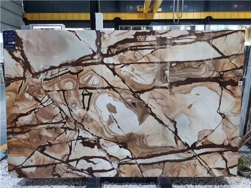 Roma Imperiale Quartzite Brazil Gold Slabs For Wall Cladding