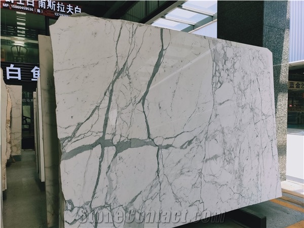 Calcatta White Marble Statuary White Slabs & Tiles