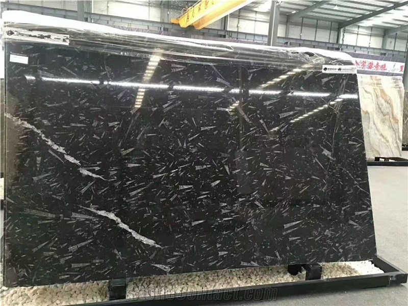 Ocean Jura Fossil Black Marble Slabs Floor Wall
