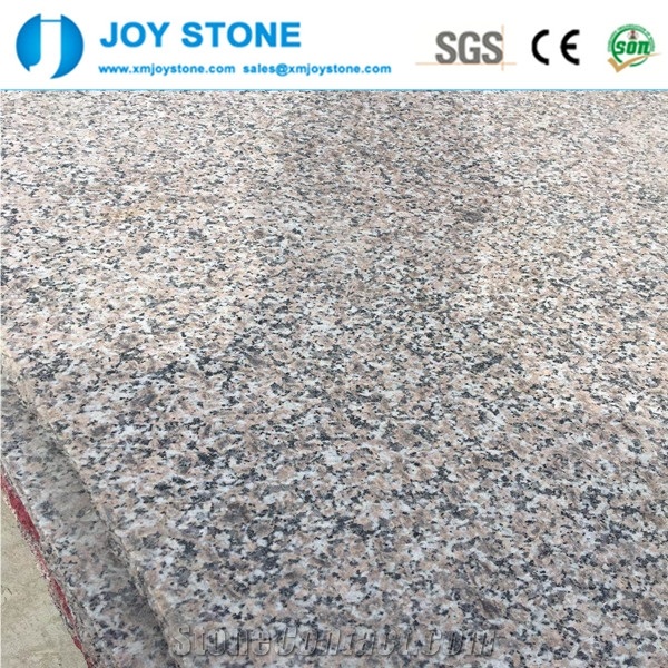 Low Price Chinese Red Granite Stone Sale Slab&Tile