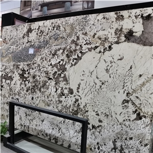 Brazil Delicatus White Granite for Countertop