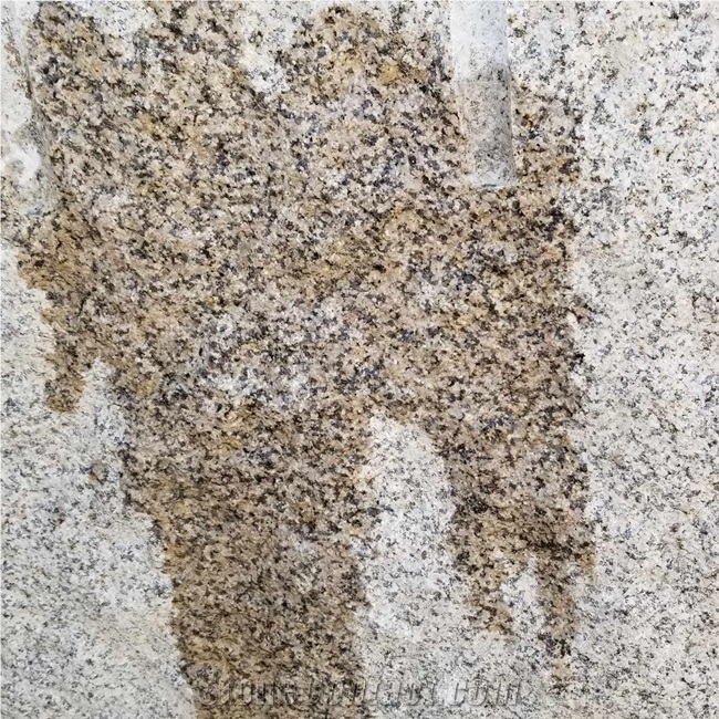 Giallo Stone Slabs Golden Leaf Granite for Floor