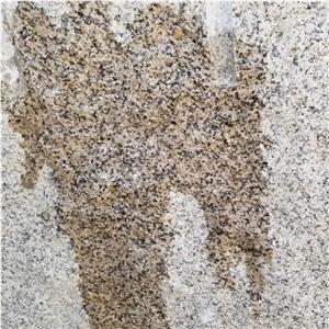 Giallo Stone Slabs Golden Leaf Granite for Floor
