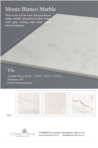 China Monte Bianco White Marble Tile Polished Wall