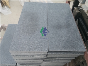 Honed New G654 Zhangqiu Black Granite Tiles Price