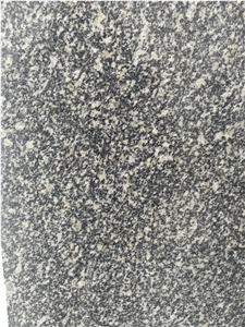 Cheap China Gushan Green Natural Granite