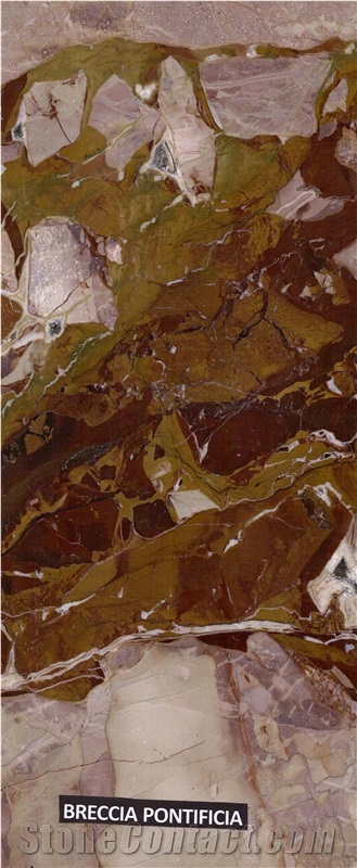 Breccia Pontificia Marble Slabs, Tiles