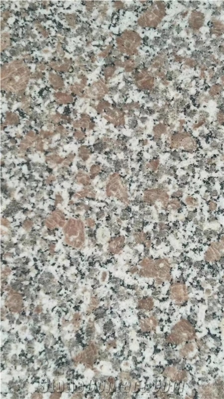 Good Quality New Pearl Red Granite for Sale