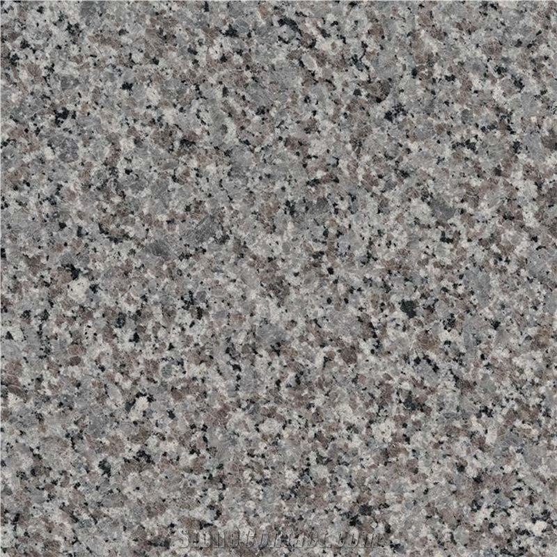 Swan Grey Granite Slab Swan Grey Granite Tile