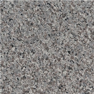 Swan Grey Granite Slab Swan Grey Granite Tile