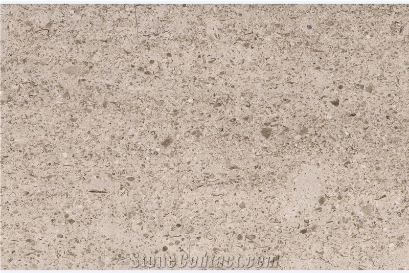 Moca Medium Grain Limestone Tiles, Slabs
