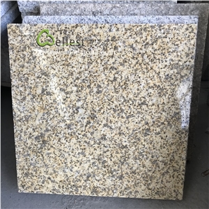 Beige Granite Floor Tile Grey Speckle Grain