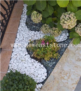Hot Decorative Garden Dolomite White Pebbles Stone