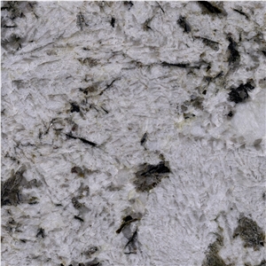 Cartus White Granite, White Delicatus Granite Slab