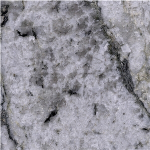 Gangdise White Granite Slabs, Tiles