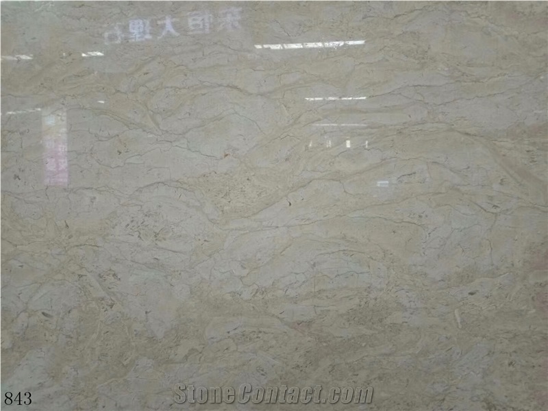 Iran Persia Shell Beige Marble Agave Slab in China