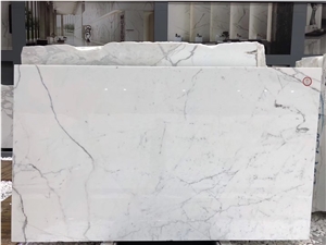 Statuario Venato White Marble Slabs Wall Panel