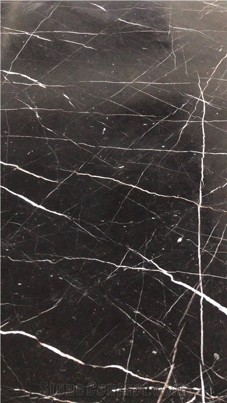 Tulip Marble China Black Gold Marble Floor Tiles