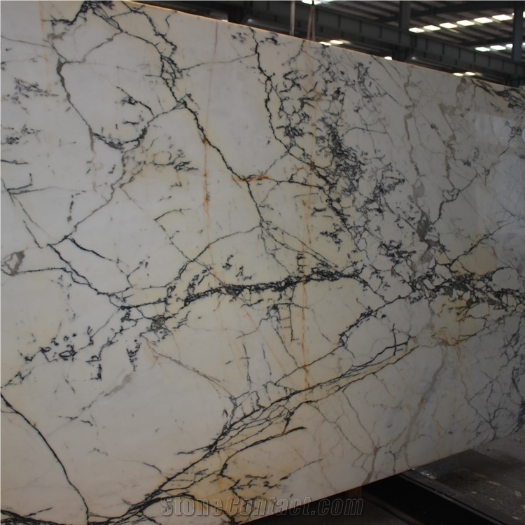 Calacatta Paonazzo Marble for Flooring Tiles